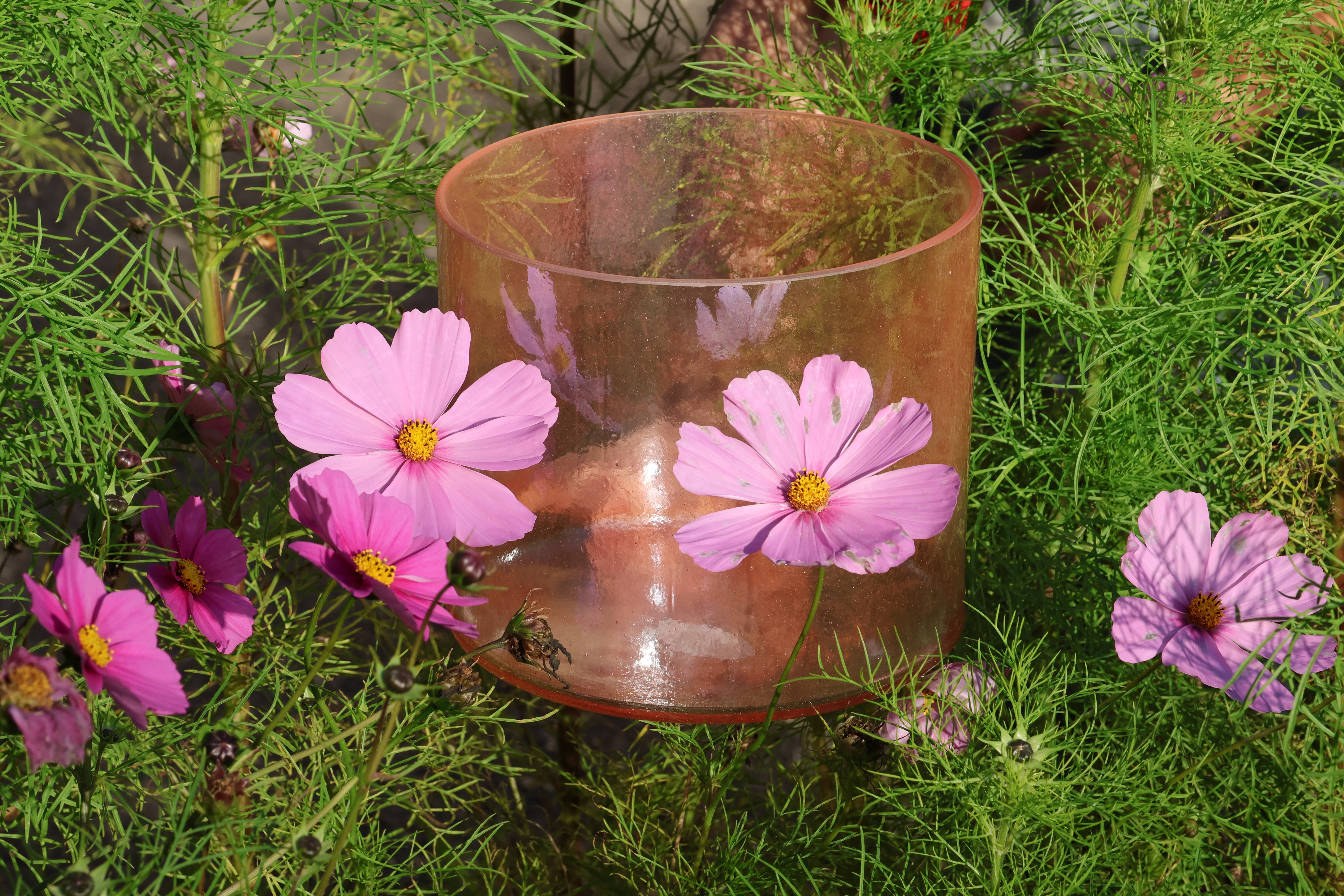 YogaHarfeKristallklang